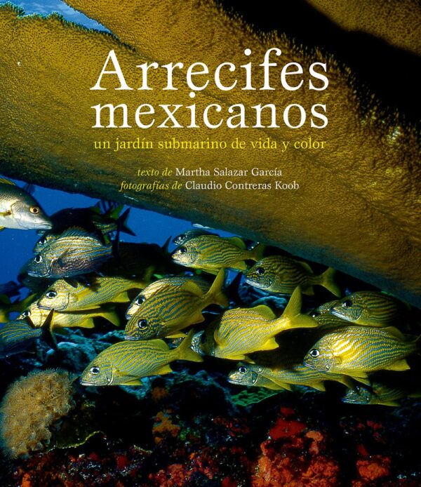 Arrecifes mexicanos. Un jardín submarino de vida y color